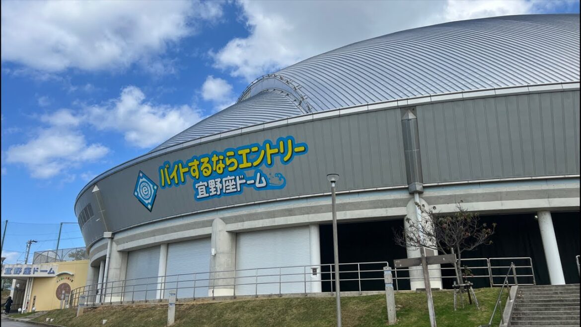 【現地ライブ】阪神タイガース沖縄キャンプ🏕️