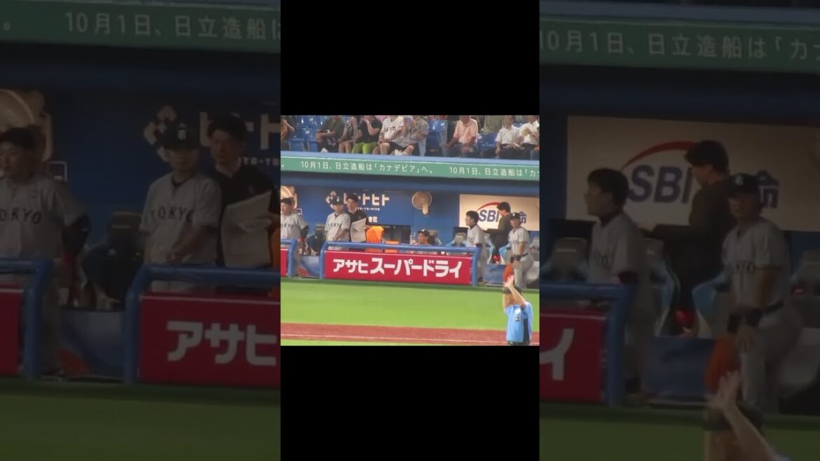 【ジャイアンツベンチ】大城卓三のタイムリーに喜ぶ丸佳浩や郡拓也など（ヤクルトスワローズ対 読売ジャイアンツ 2024年7月5日）