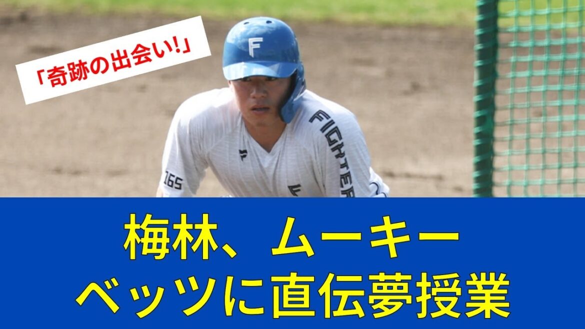 【なんで?】梅林、ベッツから直接マンツーマン指導受けたモデストで地味な努力【日ハムファンの反応】 【なんで?】梅林、ベッツから直接マンツーマン指導受けたモデストで地味な努力【日ハムファンの反応】