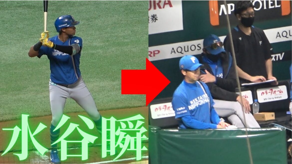 水谷瞬のバッティング観察！からの新庄監督ベンチ【北海道日本ハムファイターズ】