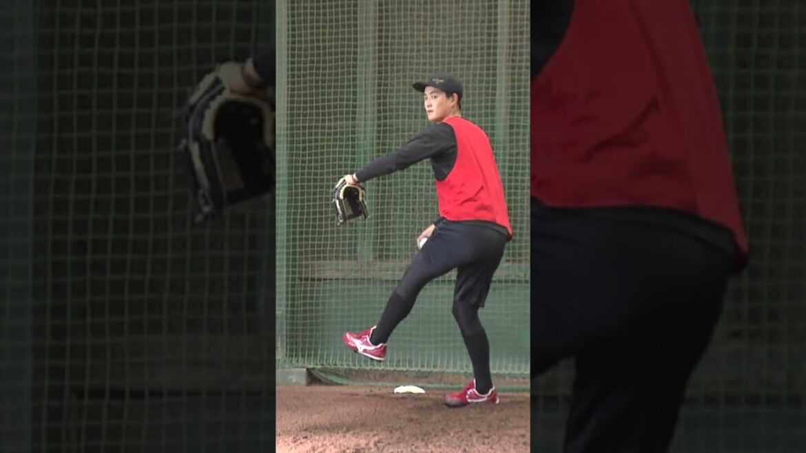 【カープ合同自主トレ】ドラフト3位・岡本駿!!華麗な投球フォームにほれぼれ! #カープ #プロ野球 #広島東洋カープ #岡本駿 【カープ合同自主トレ】ドラフト3位・岡本駿!!華麗な投球フォームにほれぼれ! #カープ #プロ野球 #広島東洋カープ #岡本駿