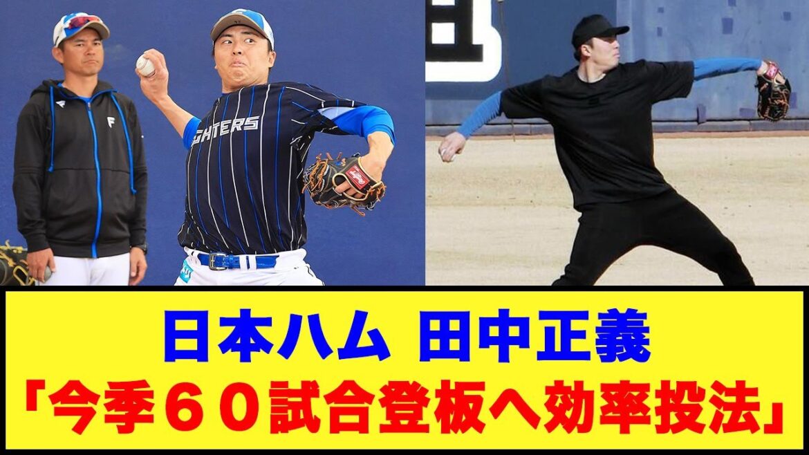 日本ハム、田中正義「今季６０試合登板へ効率投法」#日本ハムファイターズ #田中正義 #斎藤友貴哉
