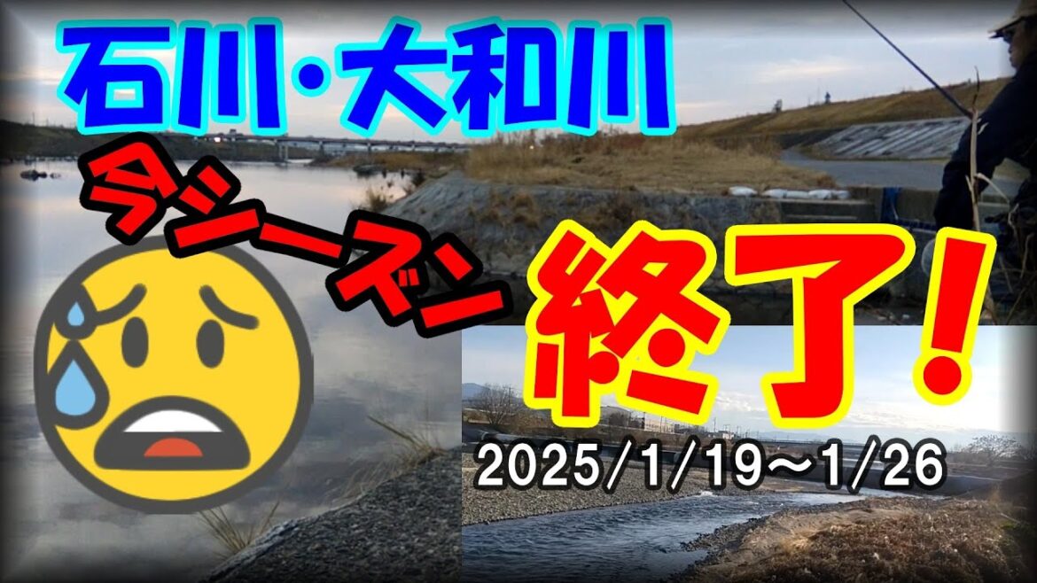 【オイカワ釣り】ヤバい!石川・大和川の小物釣り今シーズン終了!1匹だけでも釣れてくれww(^^;)大和川の支流・平野川には大鯉に小魚が湧いてる!? マルキューの九ちゃんを巻いてみたら・・・チーン(笑) 【オイカワ釣り】ヤバい!石川・大和川の小物釣り今シーズン終了!1匹だけでも釣れてくれww(^^;)大和川の支流・平野川には大鯉に小魚が湧いてる!? マルキューの九ちゃんを巻いてみたら・・・チーン(笑)