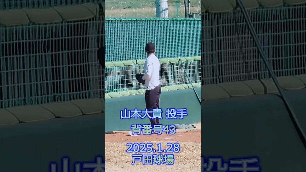 山本大貴 投手 ブルペン投球 2025.1.28 戸田球場 新人合同自主トレ #ヤクルトスワローズ #山本大貴 山本大貴 投手 ブルペン投球 2025.1.28 戸田球場 新人合同自主トレ #ヤクルトスワローズ #山本大貴
