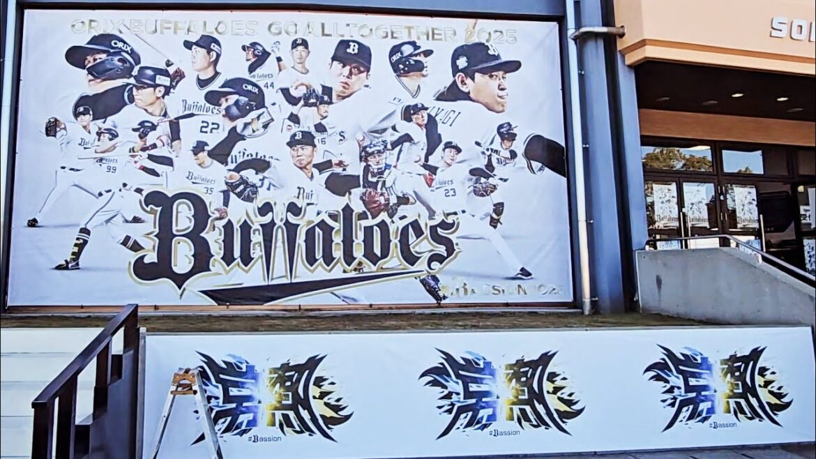 オリックスバファローズ春季キャンプ前日下見(2025-0131)  #Bs2025