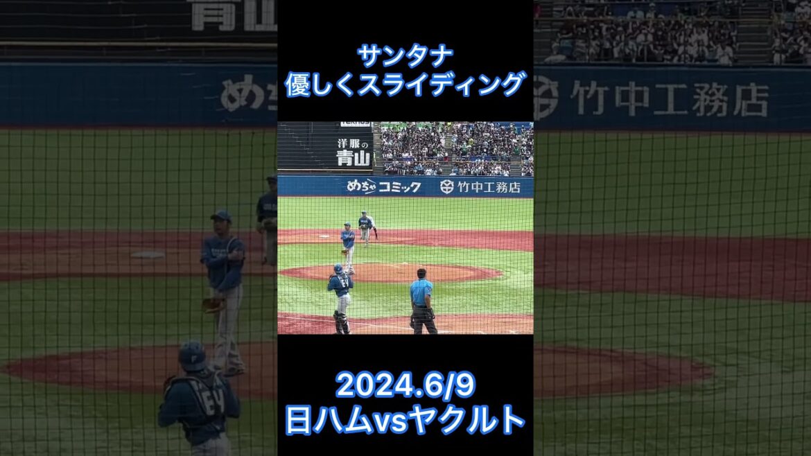 サンタナ 選手に優しいスライディング #shorts #東京ヤクルトスワローズ #プロ野球