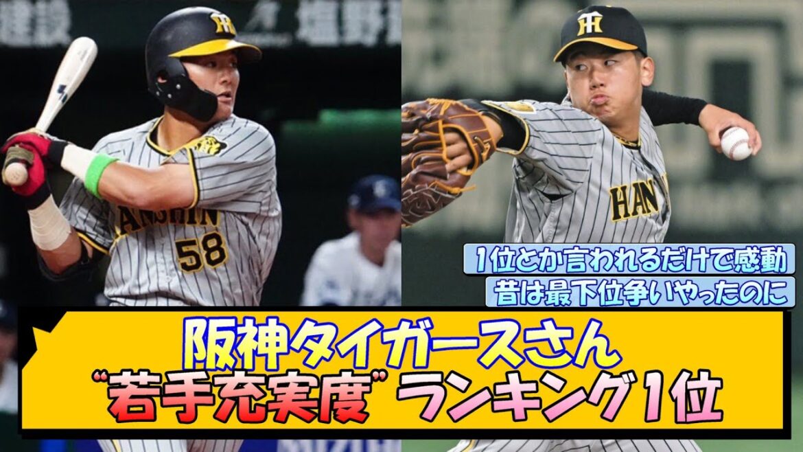 阪神タイガースさん “若手充実度”ランキング1位【なんJ/2ch/5ch/ネット 反応 まとめ/阪神タイガース/藤川球児】