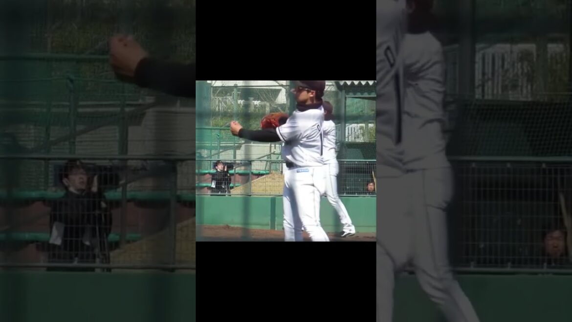 左右反転 坂本光士郎が右投手だったら2024年3月5日 春季教育リーグロッテ浦和球場 千葉ロッテ対 楽天イーグルス