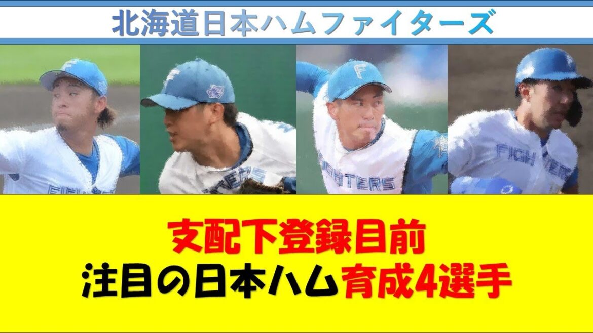 【日本ハム】支配下登録目前!注目の日本ハム育成4選手! 【日本ハム】支配下登録目前!注目の日本ハム育成4選手!