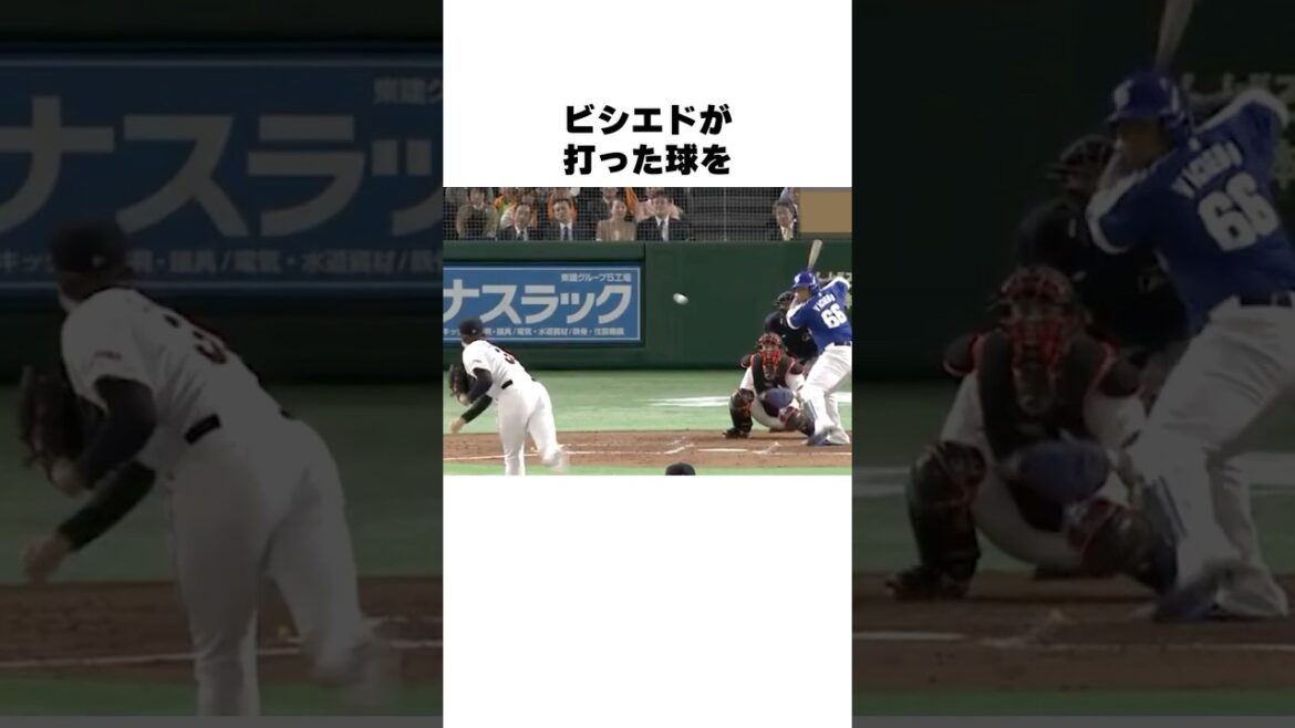 「原監督がベタ褒めした」坂本勇人についての雑学 #野球#野球雑学#読売ジャイアンツ