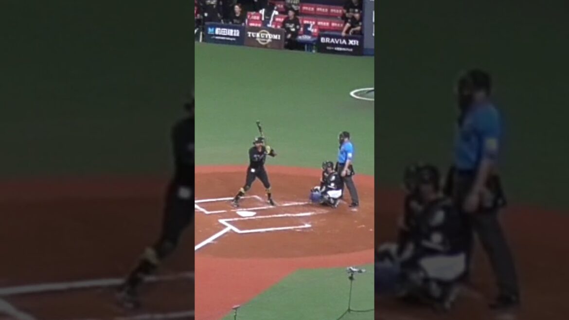 宗 佑磨　礼儀正しいところを見せる　#オリックスバファローズ #shorts