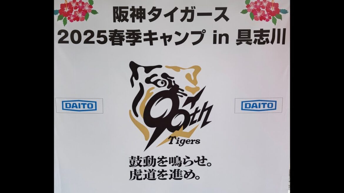 【阪神沖縄キャンプ2025】具志川キャンプツアー🏕️コレを見てうるまキャンプを満喫してね　#阪神タイガース  #阪神 #プロ野球