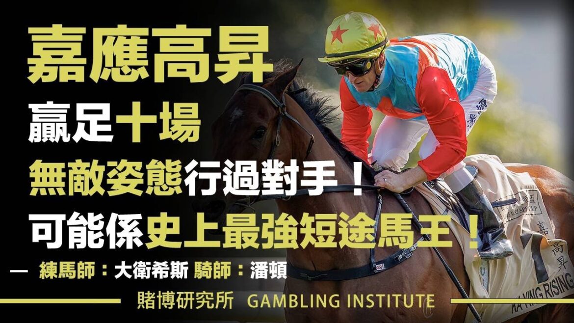 【賽馬重溫】嘉應高昇贏足十場!|無敵姿態行過對手!可能係史上最強短途馬王! 【賽馬重溫】嘉應高昇贏足十場!|無敵姿態行過對手!可能係史上最強短途馬王!