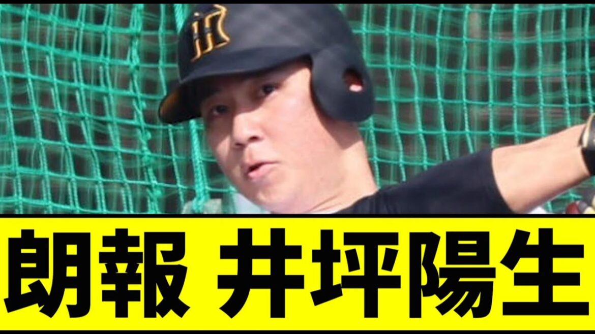 【阪神】井坪がガチのマジで圧倒的な模様ｗｗｗｗｗｗｗｗｗｗ【2chスレ】