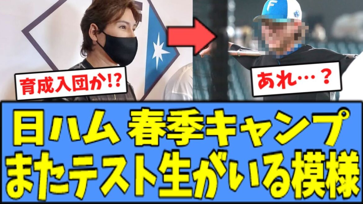 【期待】日ハム 春季キャンプ、"テスト生"を呼んでいる模様ｗｗｗ