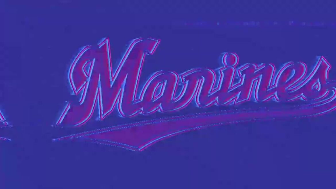 【作業用】千葉ロッテマリーンズ チャンステーマ3（モンキーターン）40分耐久【リメイク】