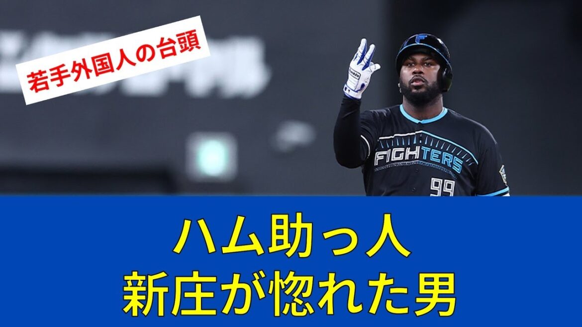 【ファイターズ速報】日本ハム新助っ人争い勃発！新庄監督が惚れた24歳の正体【日ハムファンの反応】