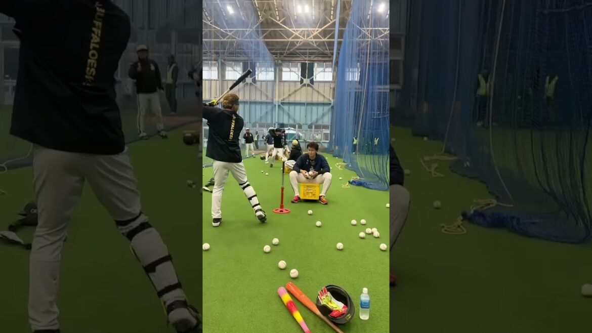 宮崎春季キャンプ、スタート⚾️✨ #宮崎春季キャンプ #オリックス #shorts