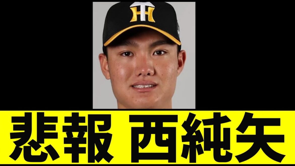 【阪神】西純矢がヤバい事になっていた...【2chスレ】