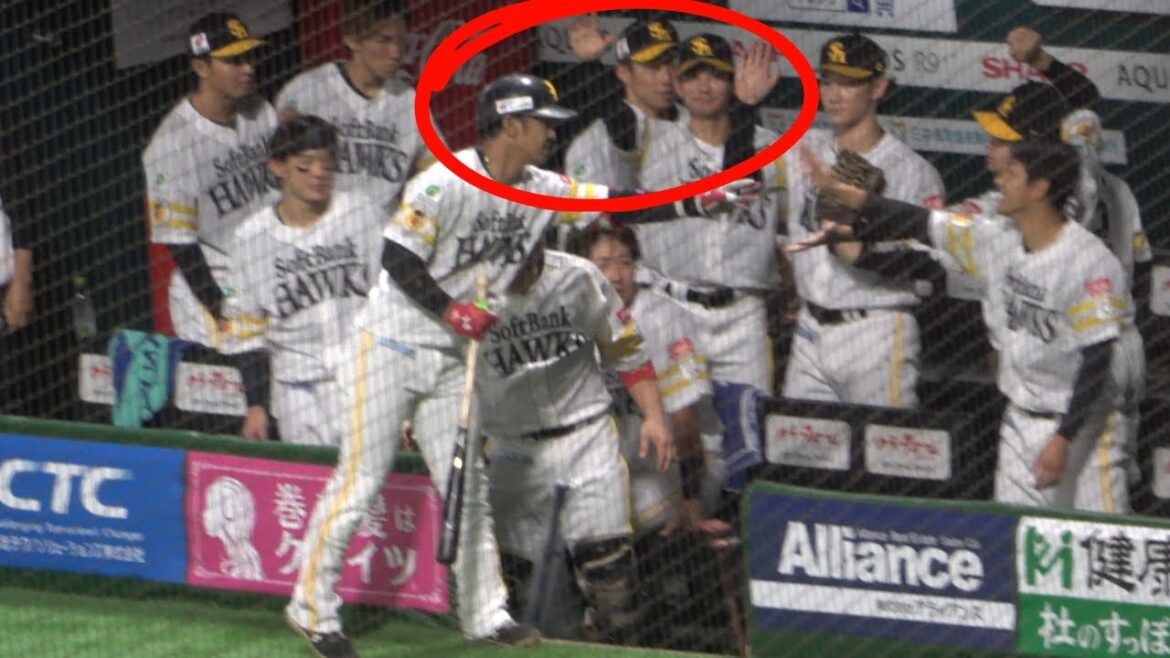 今宮健太へ想いを表現し続ける緒方理貢！中村晃に球種伝言！プロ野球福岡ソフトバンクホークス