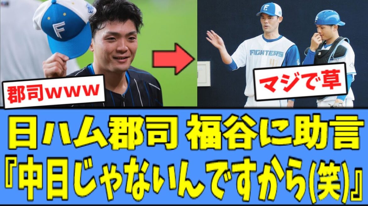 【草】日ハム 郡司、さっそく福谷に"アドバイス"をした模様ｗｗｗ