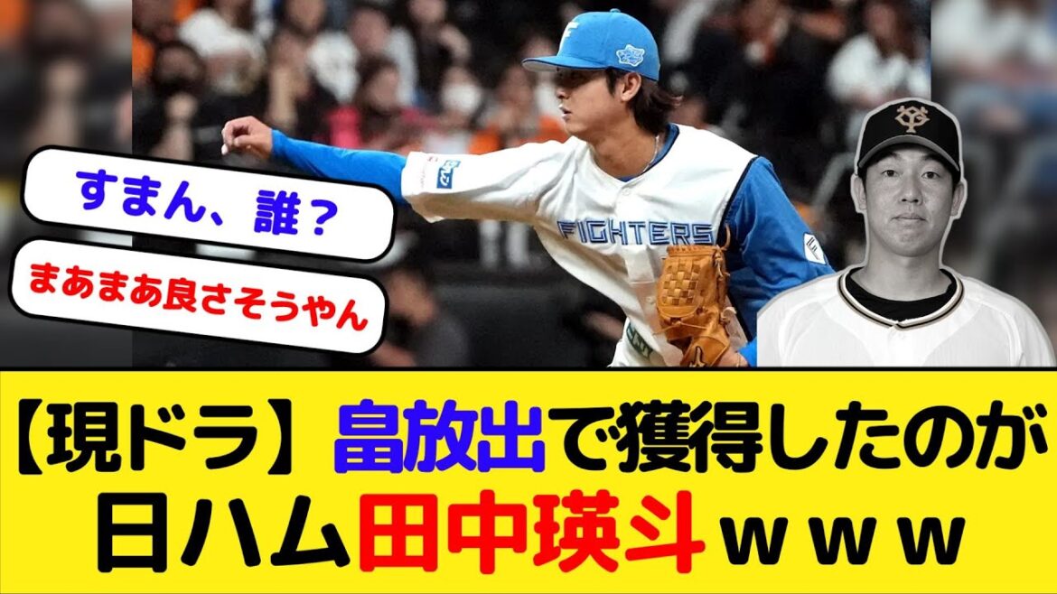 【現役ドラフト】畠世周放出で獲得したのが日ハム田中瑛斗ｗｗｗ【巨人】
