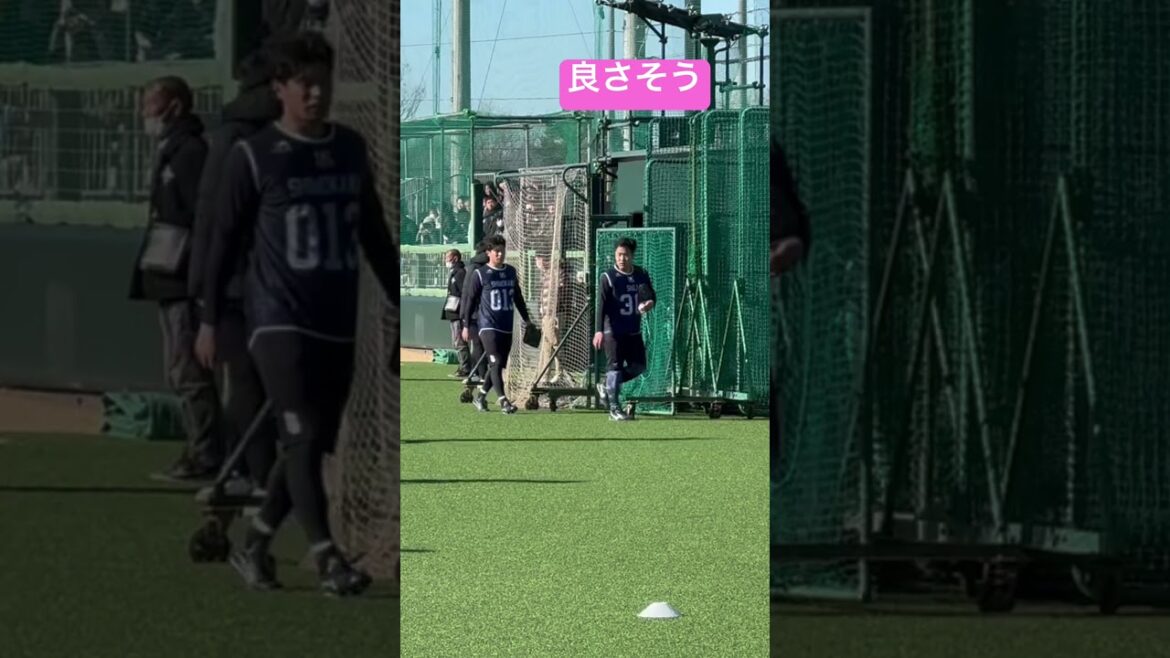 塩見泰隆選手と村上宗隆選手！自主練は良さそう