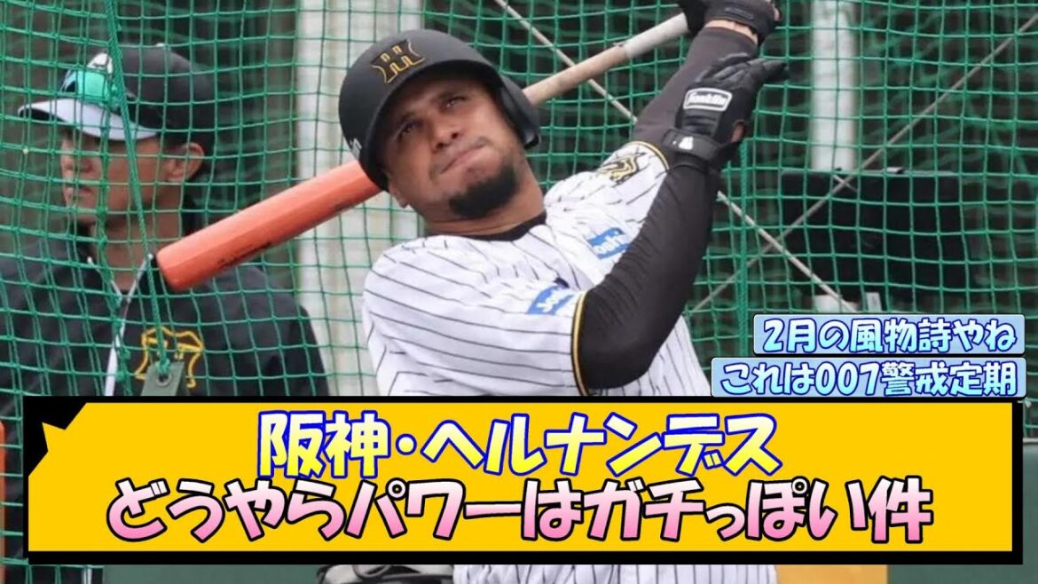 阪神・ヘルナンデス どうやらパワーはガチっぽい件【なんJ/2ch/5ch/ネット 反応 まとめ/阪神タイガース/藤川球児】