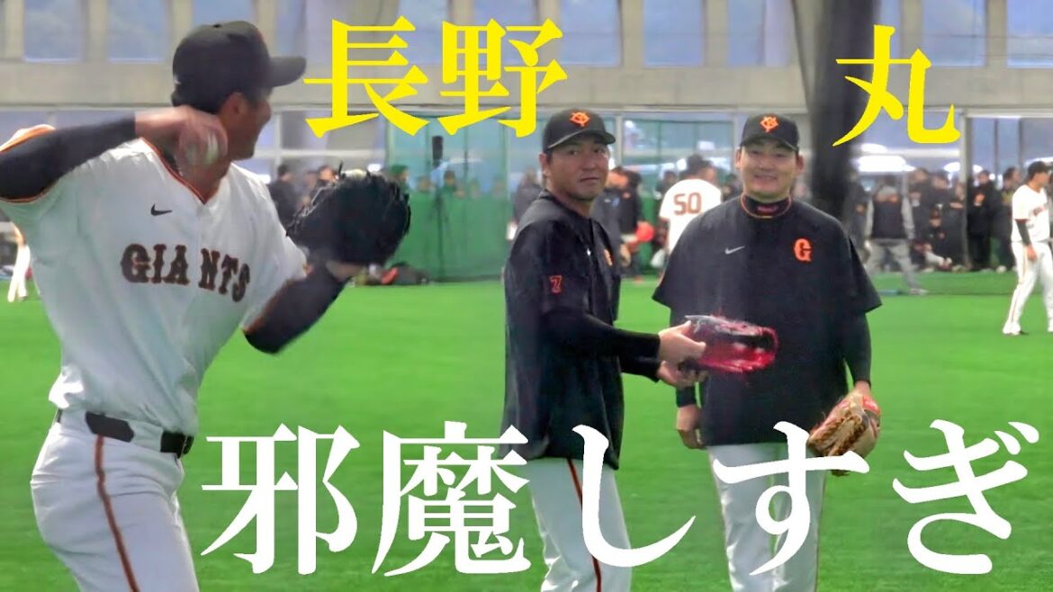 読売ジャイアンツ（巨人軍）春季キャンプ初日 外野守備練習（2025 0201） #長野久義 #丸佳浩