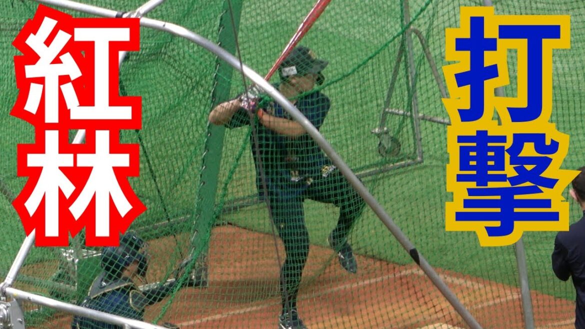 紅林弘太郎のバッティング練習！プロ野球オリックスバファローズ　侍JAPAN日本代表