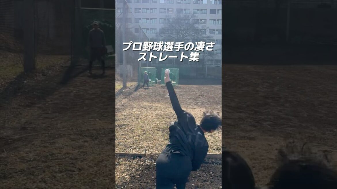 糸を引く様なプロ野球選手のストレート集 #neolab #球速アップ #内田聖人