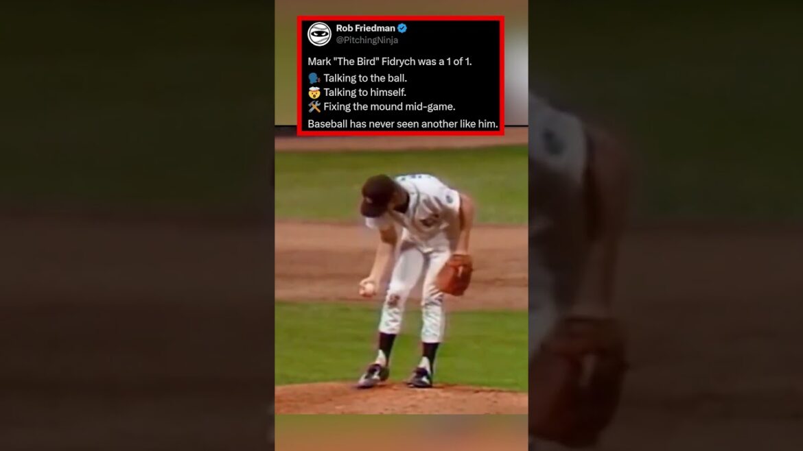 Mark "The Bird" Fidrych was a 1 of 1.