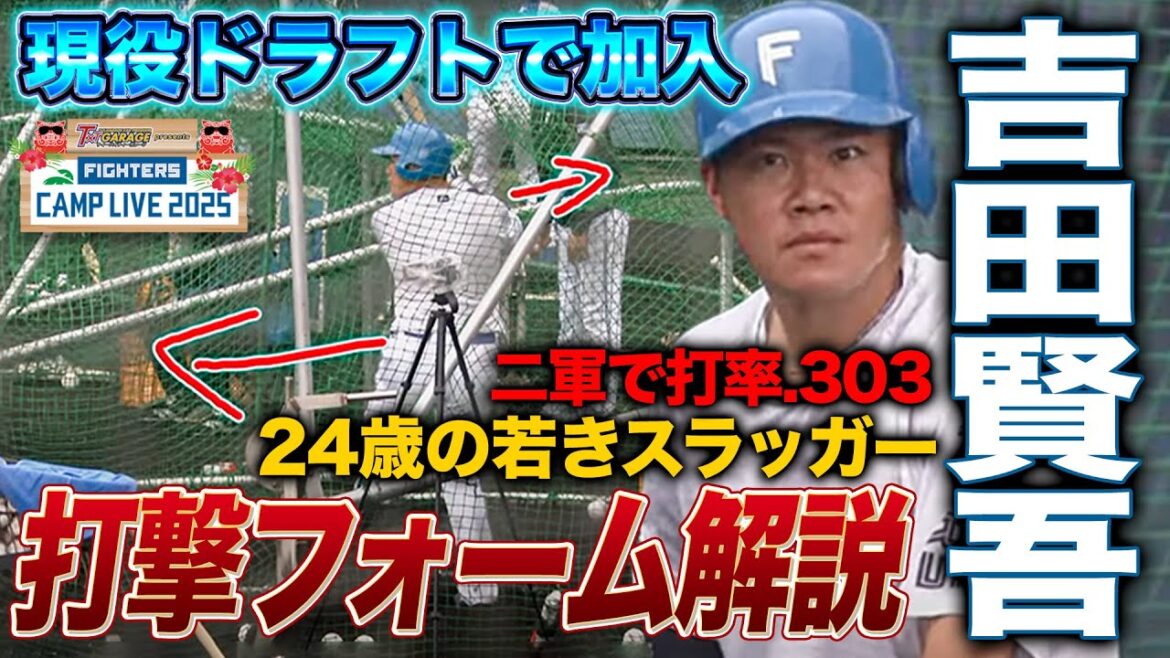 ソフトバンクから現役ドラフト吉田賢吾 キャンプ初の打撃練習を解説＜2/1ファイターズ春季キャンプ2025＞