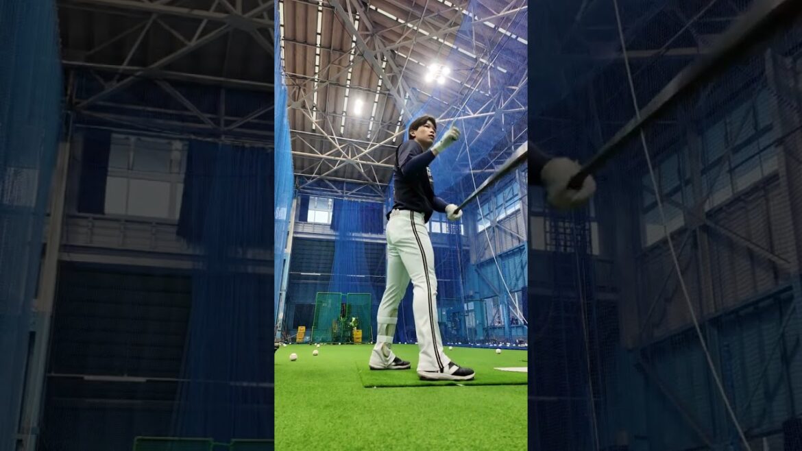 中川圭太選手バッティング練習 #中川圭太 #宮崎春季キャンプ #オリックス #shorts