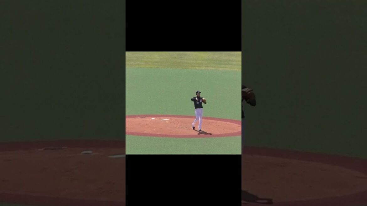 マリーンズ二木康太ピッチングフォーム2024年4月19日