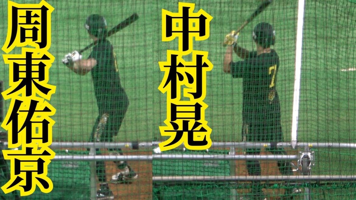周東佑京､中村晃のバッティング練習【プロ野球福岡ソフトバンクホークス】2025春季キャンプ直前！日本一へ！
