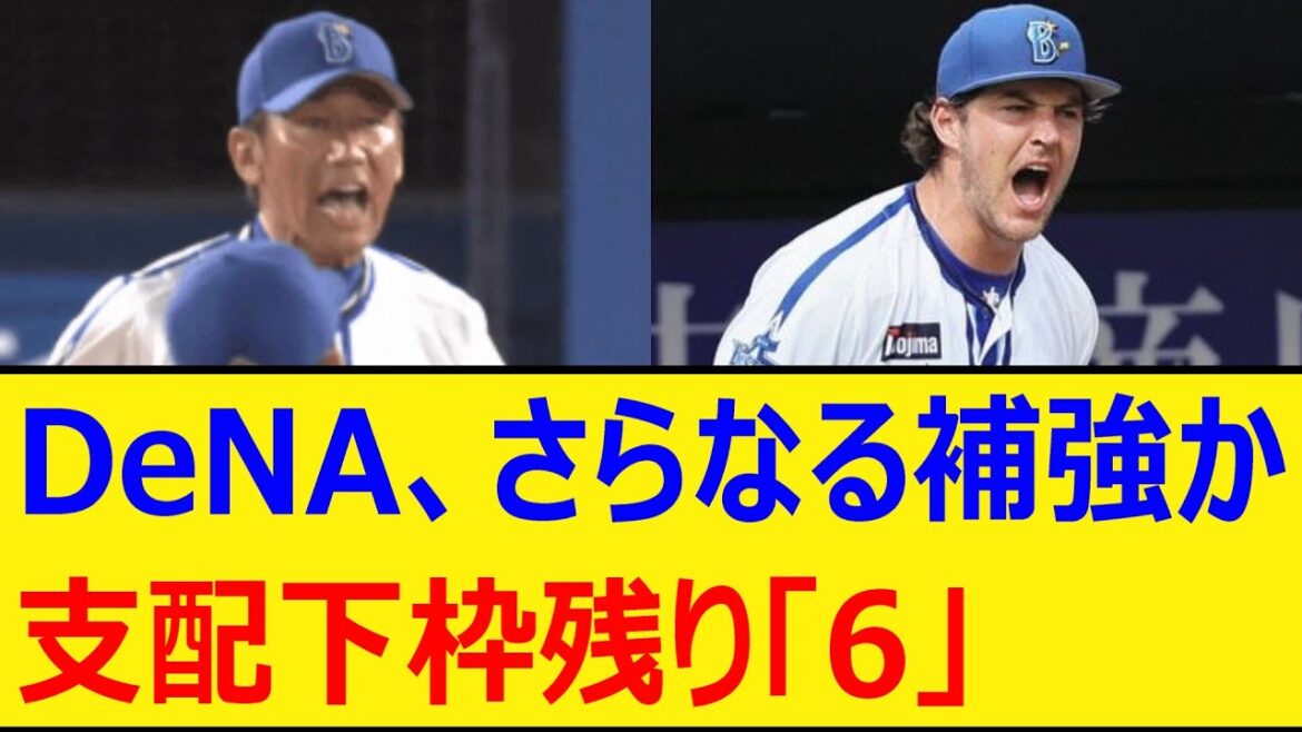 DeNA、さらなる補強か...支配下枠残り「6」【プロ野球、なんj、なんg反応】【野球、2ch、5chまとめ】【横浜DeNAベイスターズ、ベイスターズ】