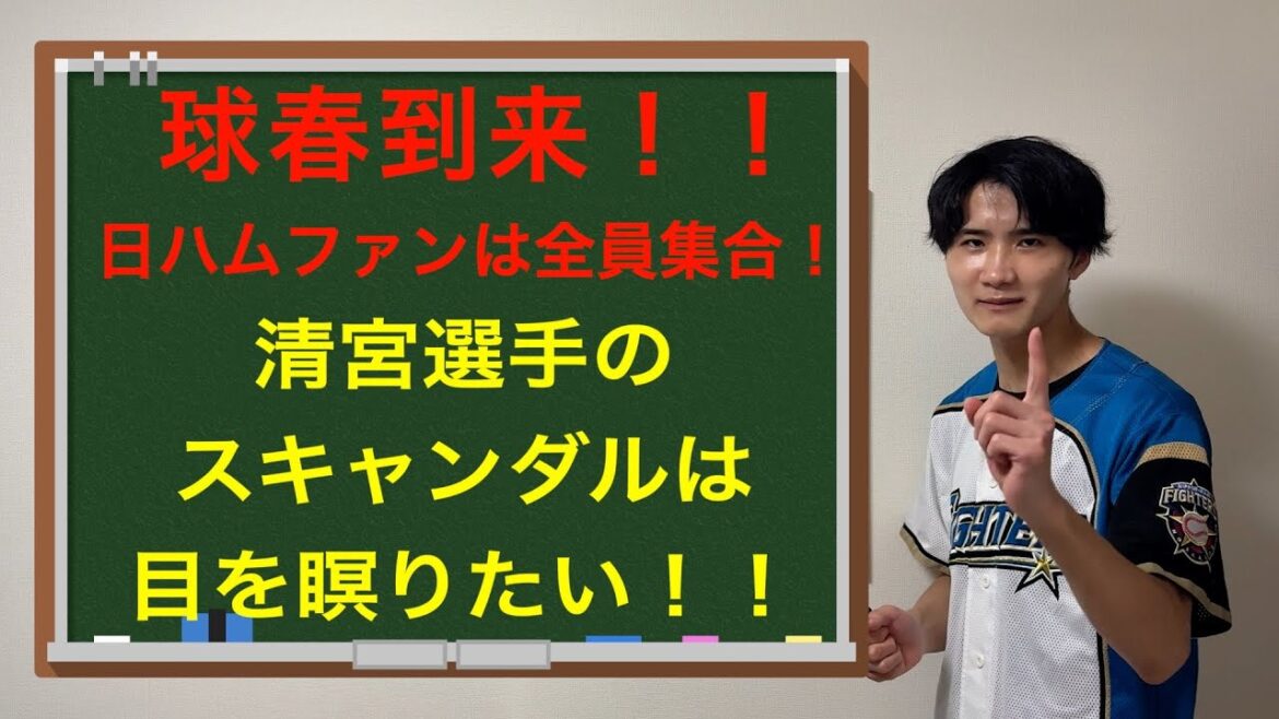 日本ハムファイターズ、レギュラー争いの考察。内野、DH編 日本ハムファイターズ、レギュラー争いの考察。内野、DH編