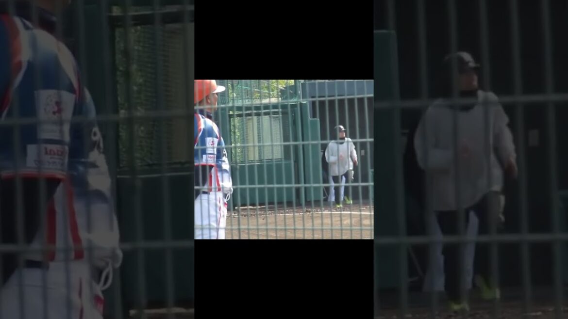 左右反転 田中俊太が右打者だったら2024年3月5日 春季教育リーグロッテ浦和球場 千葉ロッテ対 楽天イーグルス