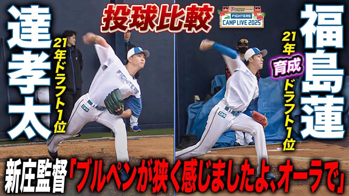 新庄監督期待の4年目投手揃い踏み‼️達孝太&福島蓮&柳川大晟がキャンプ初日ブルペン入り<2/1ファイターズ春季キャンプ2025> 新庄監督期待の4年目投手揃い踏み‼️達孝太&福島蓮&柳川大晟がキャンプ初日ブルペン入り<2/1ファイターズ春季キャンプ2025>