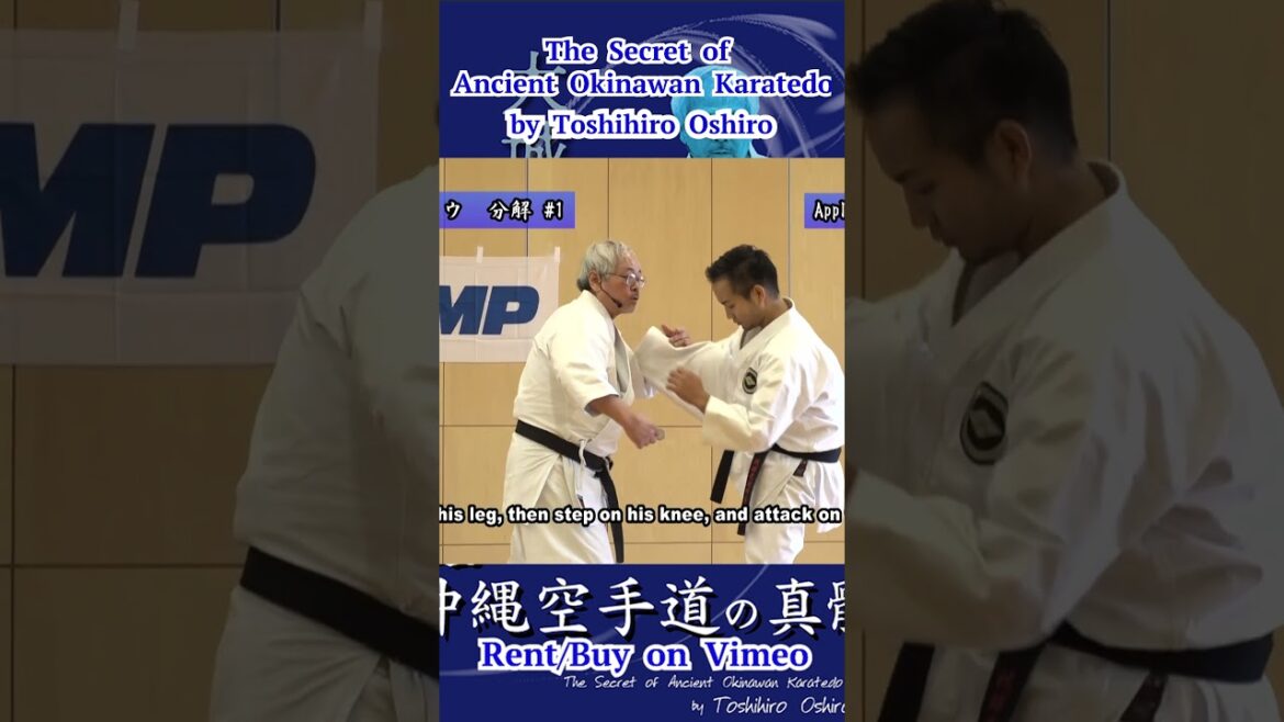 #Wanshu Applications #ワンシュウ #分解 The Secret of Ancient #Okinawan #Karatedo by Toshihiro Oshiro #short #Wanshu Applications #ワンシュウ #分解 The Secret of Ancient #Okinawan #Karatedo by Toshihiro Oshiro #short