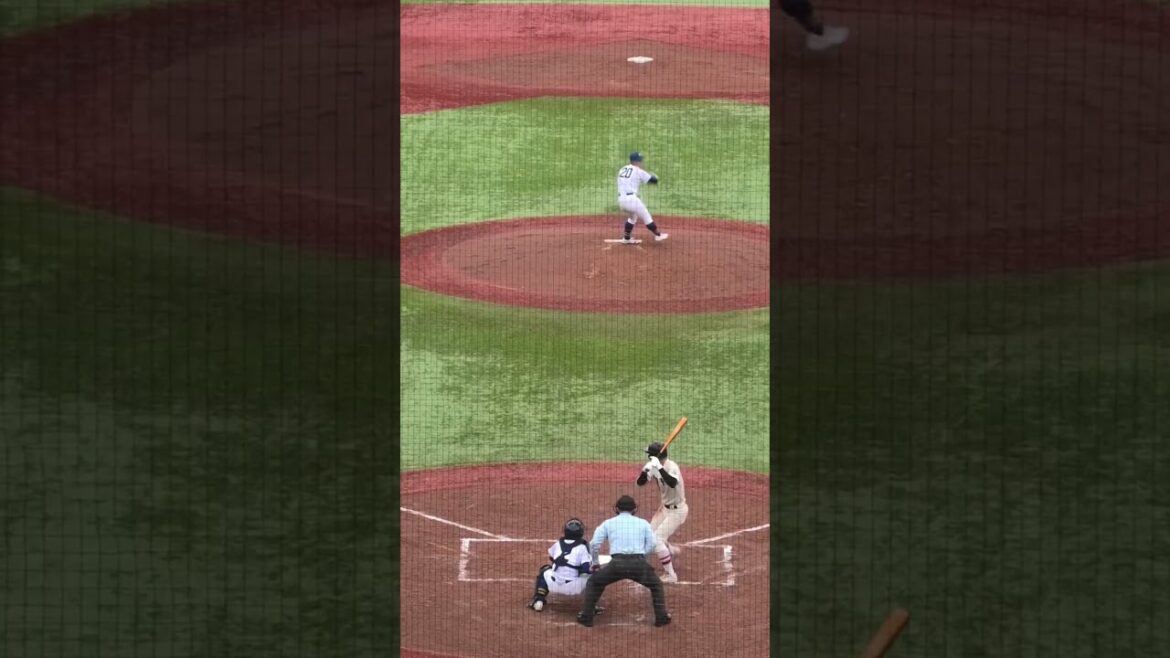 東洋大姫路　渡邊拓雲(東成リトルシニア)　マルチヒット　2024.11.20