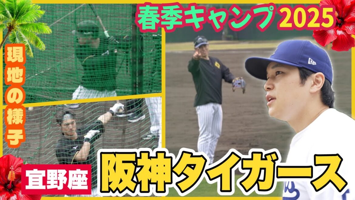 プロ野球 春季キャンプ2025 初日の阪神タイガースへ！マチョ谷翔平が大興奮！