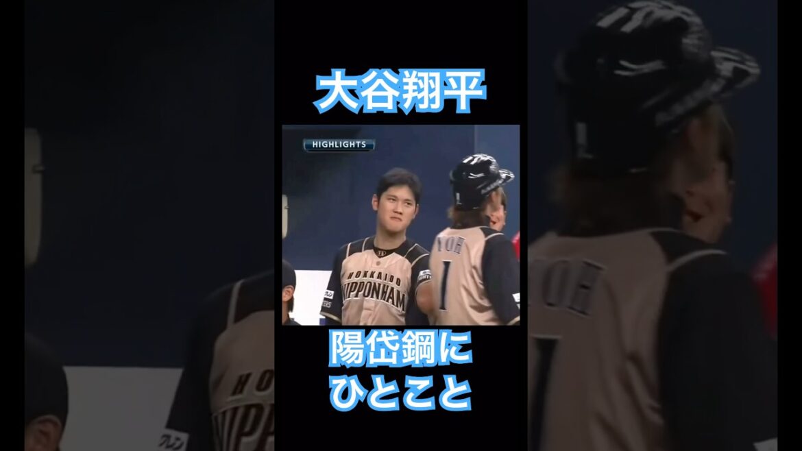 【MLB】大谷翔平、陽岱鋼にひとこと物申す #shoheiohtani #mlb #mvp #dodgers #angels #wbc #真美子 #デコピン
