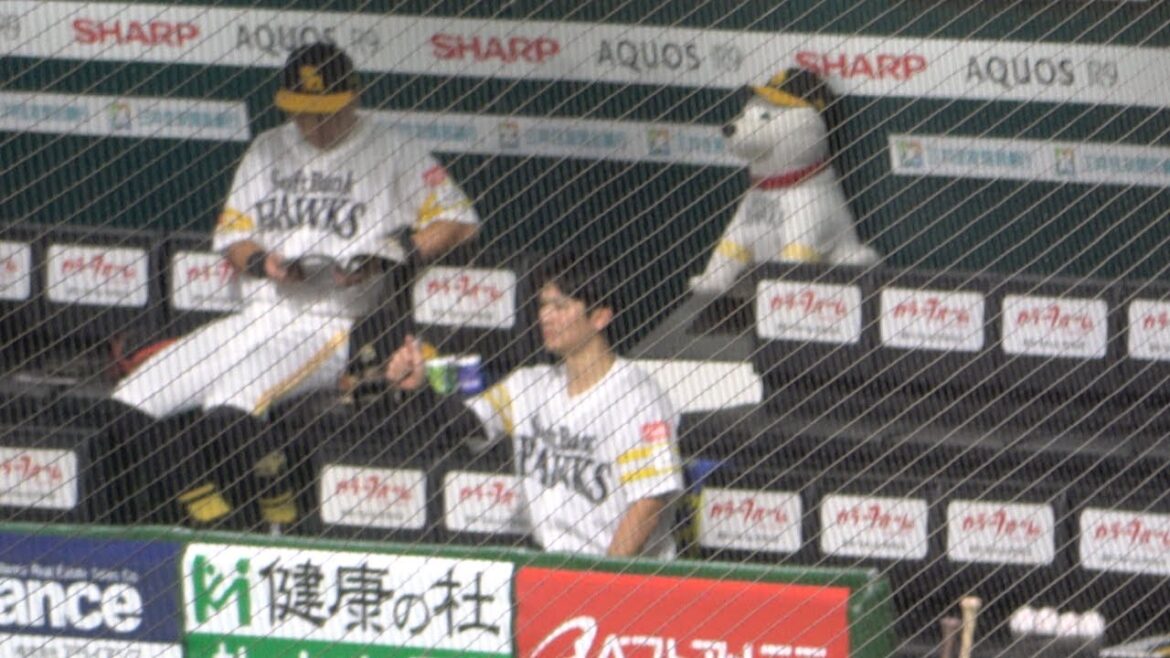 ベンチで本を読む中村晃と村上宗隆ルーティンをする緒方理貢【プロ野球福岡ソフトバンクホークス】