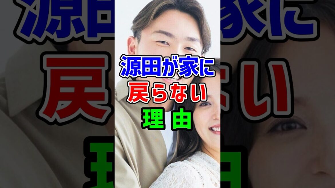 源田もどらん...衛藤美彩の心境と今後の選手生命について新たな展開 #プロ野球 #野球 #不倫
