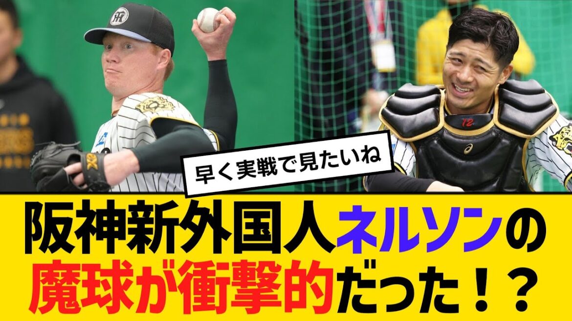 阪神新外国人、ニック・ネルソンの魔球が衝撃的だった！？坂本誠志郎が驚愕「キャッチャーも危ないぐらい揺れてました。」　【ネットの反応】【反応集】