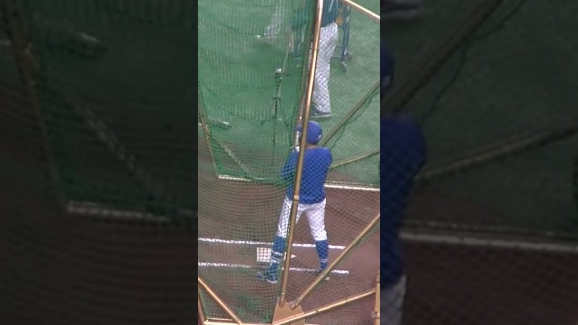 【ドラゴンズ】木下拓哉フリーバッティング＜読売ジャイアンツ 対 中日ドラゴンズ 2024年4月24日＞