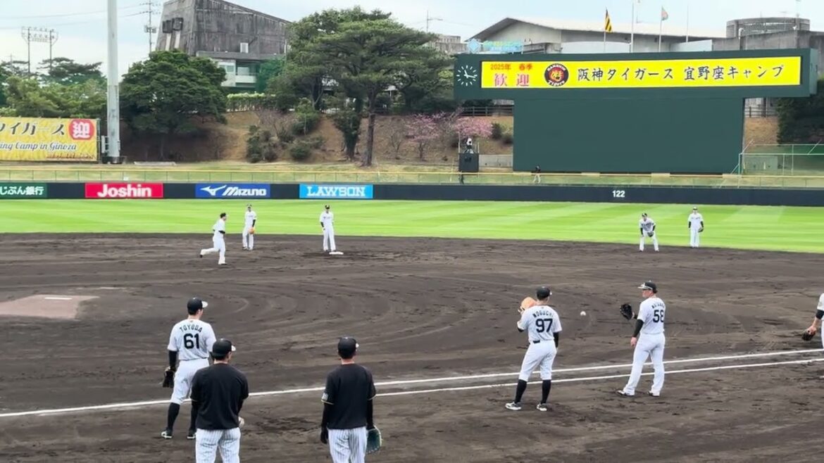 藤川阪神初シートノック その2 抜擢山田脩也&高寺望夢内野手のグラブ捌き守備に注目☝️プロ野球マニア必見👀阪神沖縄宜野座キャンプ2025/2/1 #阪神タイガース #阪神 #佐藤輝明