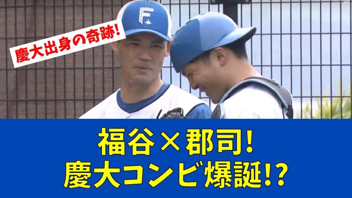 【F速報】福谷×郡司の慶大コンビ始動!日ハムで再会の奇跡【日ハムファンの反応】